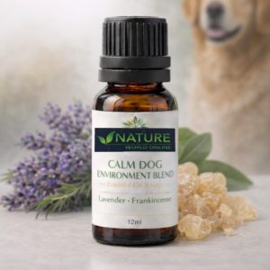 CALM DOG ENVIRONMENT