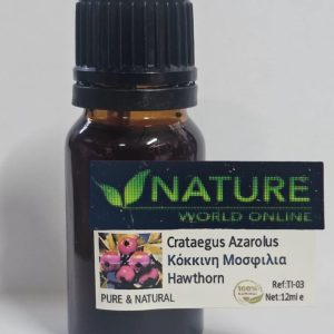 CRATAEGUS AZAROLUS (hawthorn)
