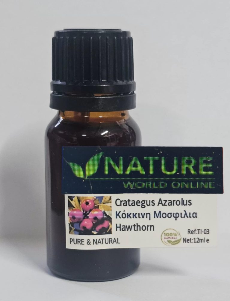 CRATAEGUS AZAROLUS (hawthorn)