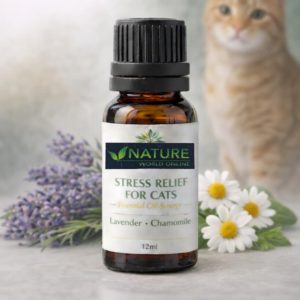 STRESS RELIEF FOR CATS